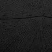 Interlude Home Wood Charred Oak